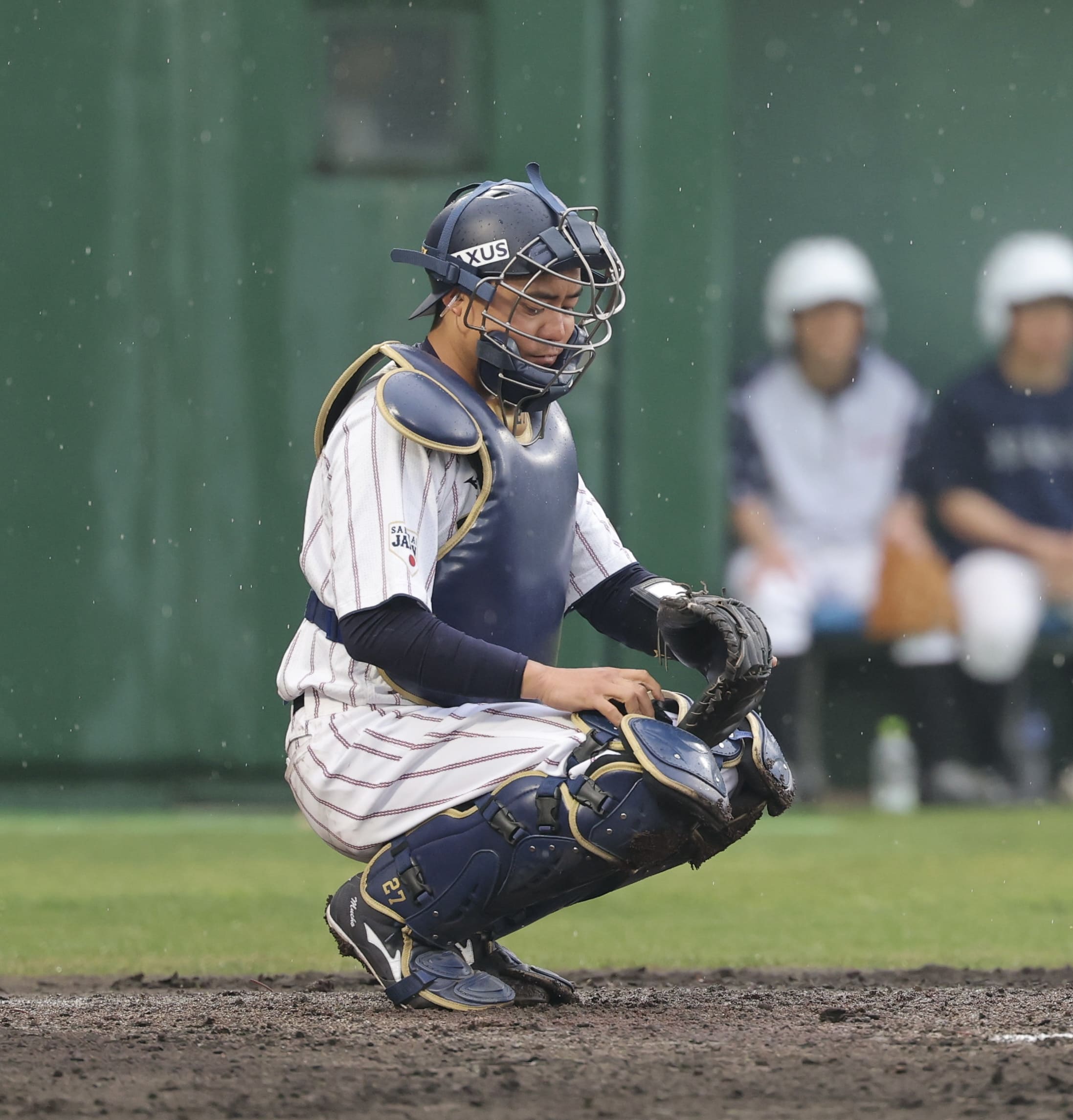 写真：中村悠平/提供：スポーツ報知/アフロ